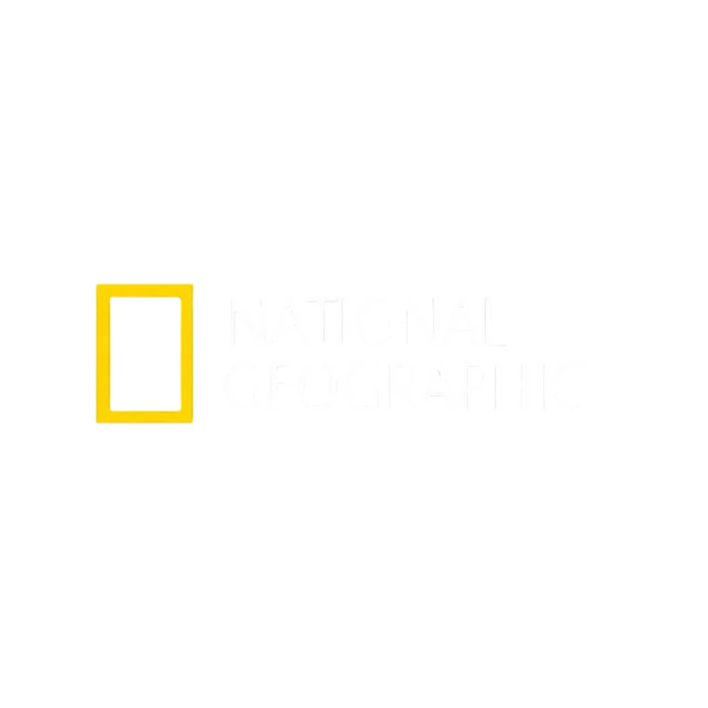 50% de descuento DE CURSO BASICO-Photoroom